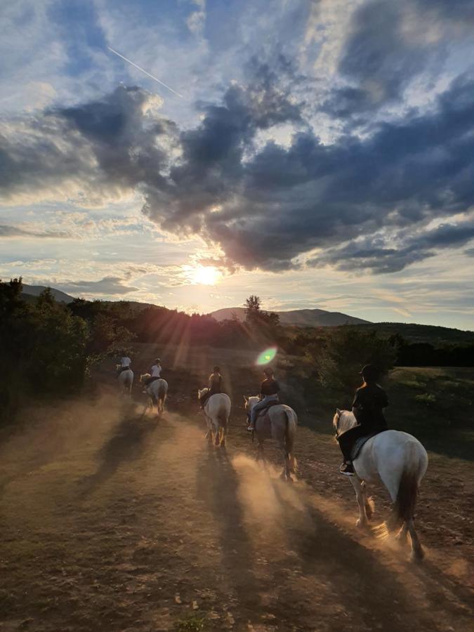 Ranch Terra Hotel Irinovac Kültér fotó
