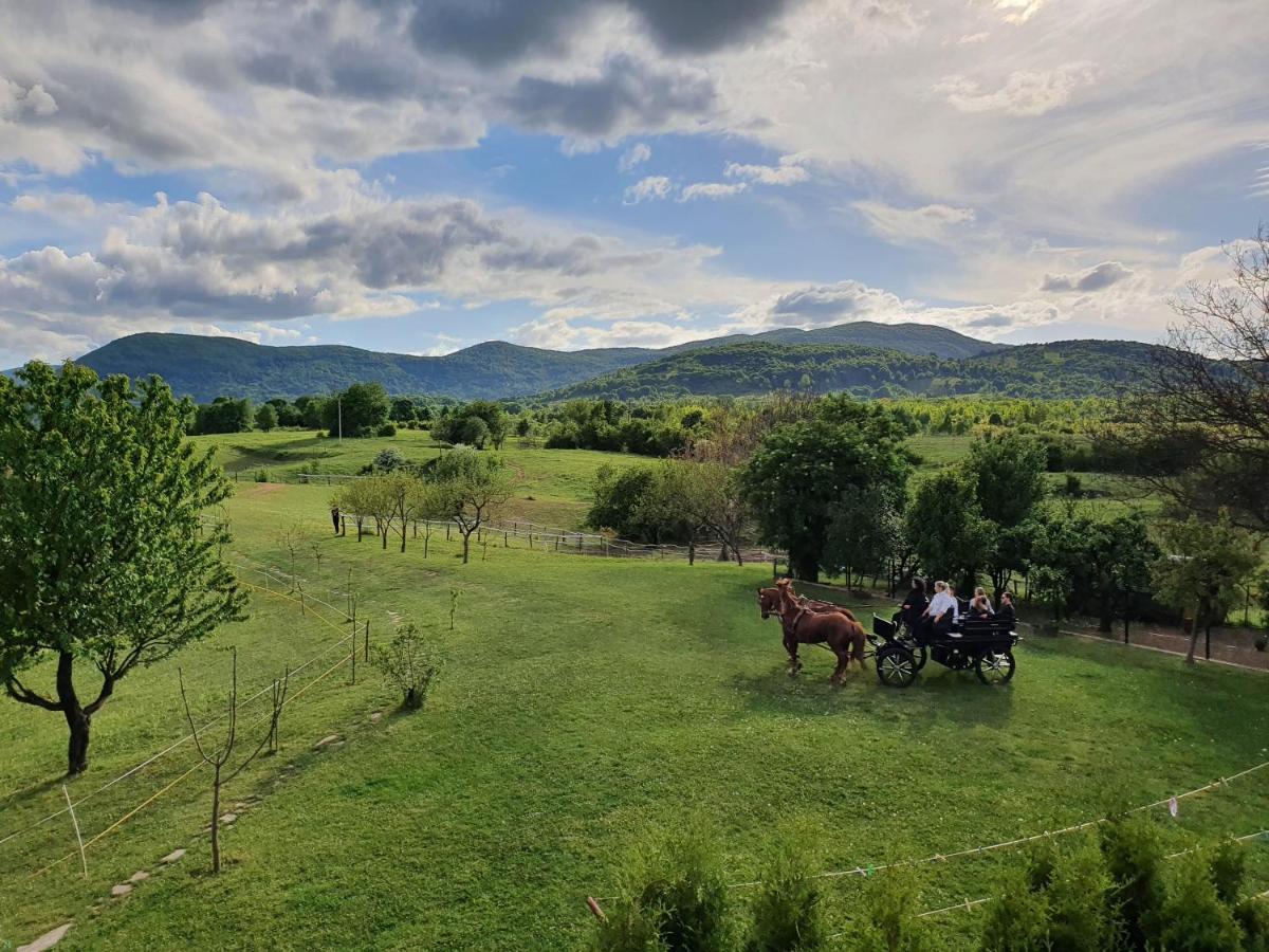 Ranch Terra Hotel Irinovac Kültér fotó