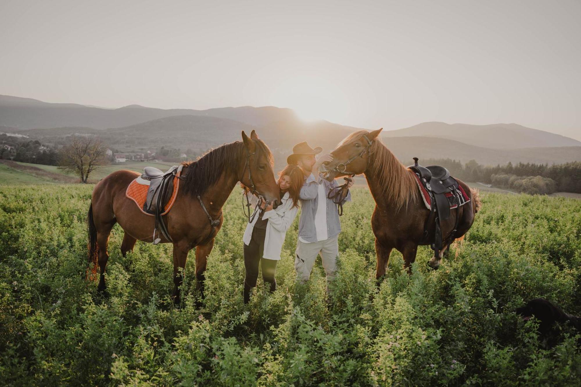 Ranch Terra Hotel Irinovac Kültér fotó