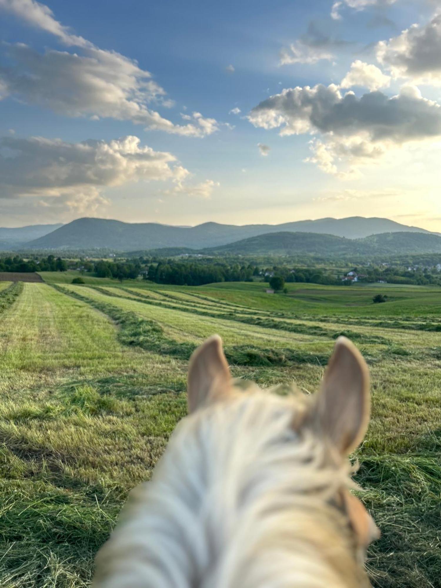 Ranch Terra Hotel Irinovac Kültér fotó