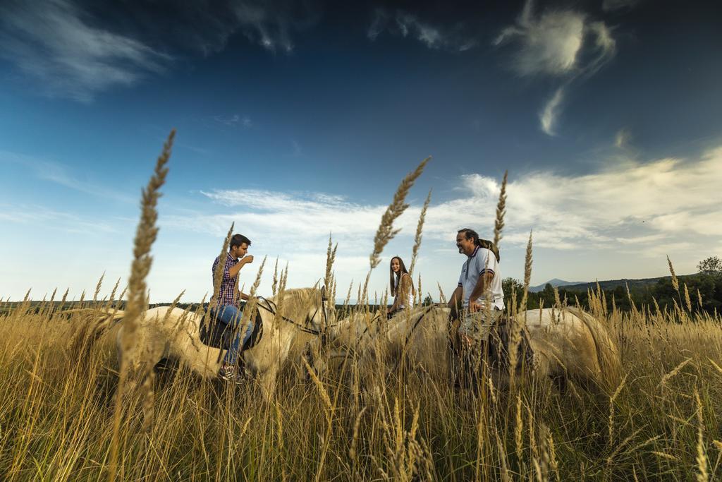 Ranch Terra Hotel Irinovac Kültér fotó