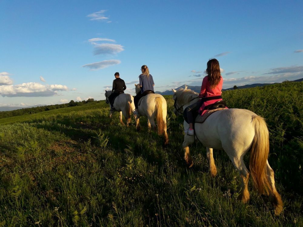 Ranch Terra Hotel Irinovac Kültér fotó