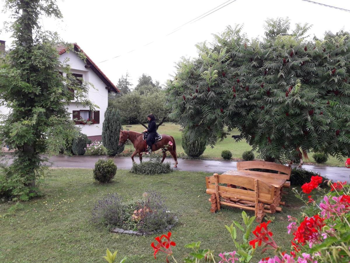 Ranch Terra Hotel Irinovac Kültér fotó